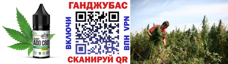 Cannafood конопля  Купить где  Кувандык 