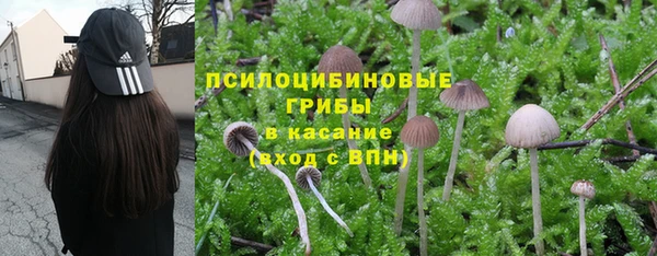 ECSTASY Каменск-Шахтинский