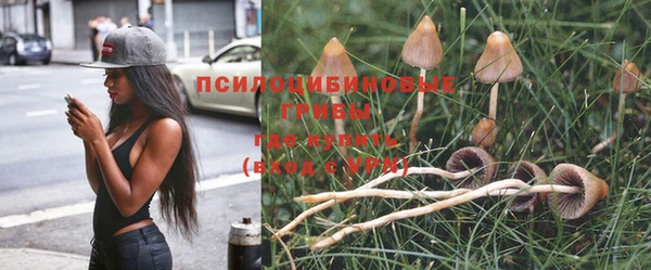 бутик Каменногорск