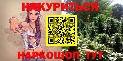 скорость Кингисепп