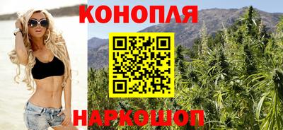 скорость Кингисепп