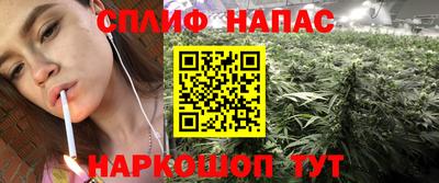 амф Кимры