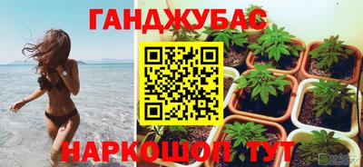 амф Кимры