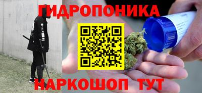 амф Кимры