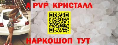 скорость Кингисепп