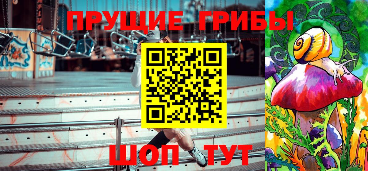 Псилоцибиновые грибы GOLDEN TEACHER  Галлюциногенные грибы Psilocybe  Кувандык 